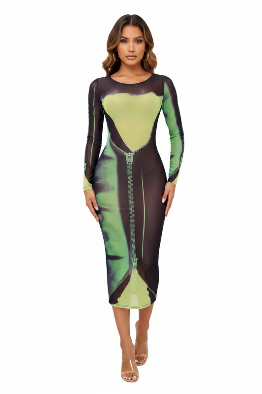 Chyanne Sheer  Long Sleeve Bodycon Dress
