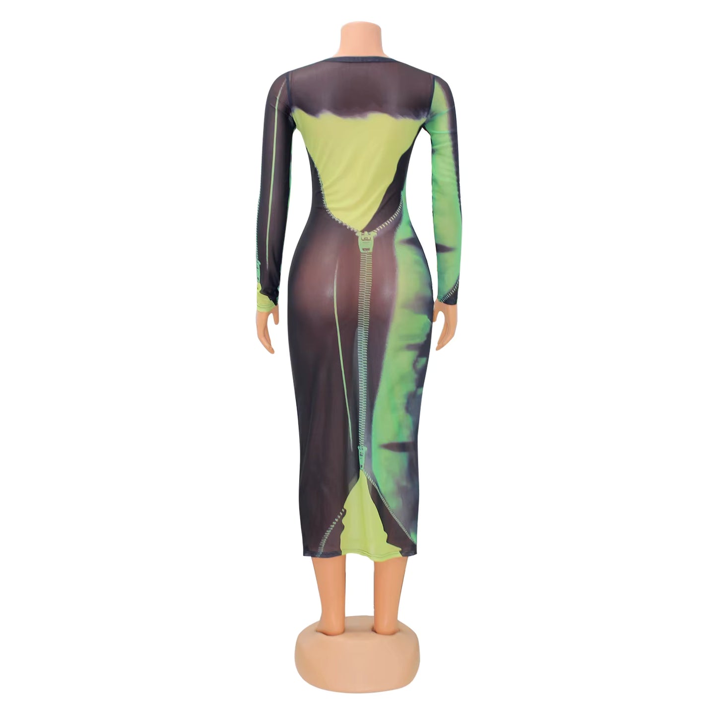 Chyanne Sheer  Long Sleeve Bodycon Dress