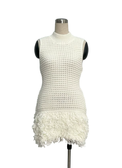 Willow Fringe Knit Mini Dress