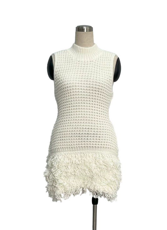 Willow Fringe Knit Mini Dress