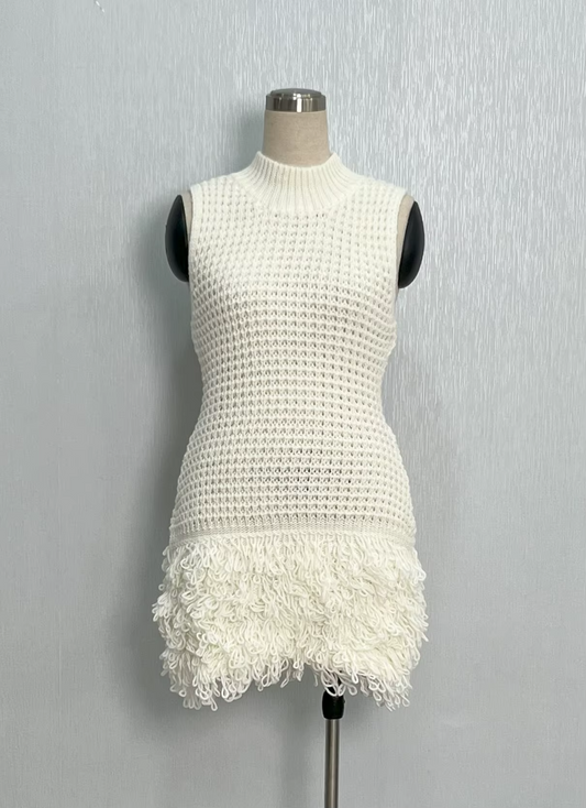 Willow Fringe Knit Mini Dress